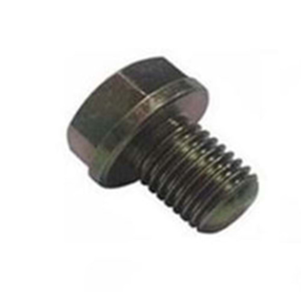 CG+CUP Yağ Salma Vidası