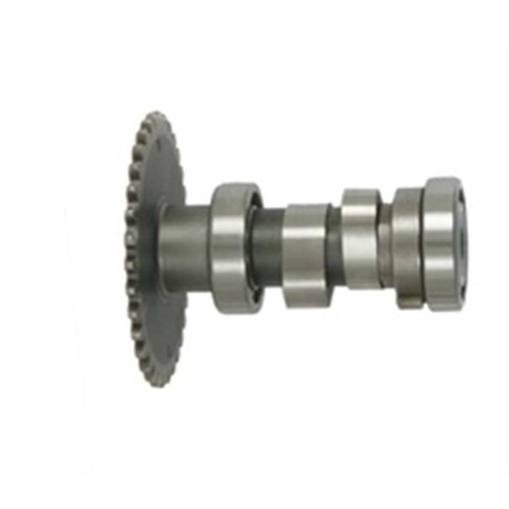 SCT 50 Eksantirik Mili Komple