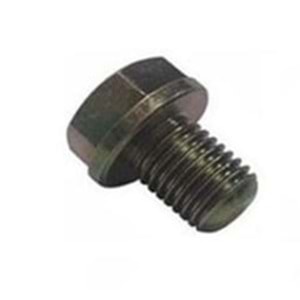 CG+CUP Yağ Salma Vidası