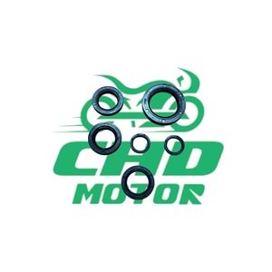 DİO 110 Keçe Takımı