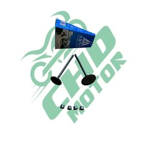 CG 100 Subap Emme + Eksoz DQ