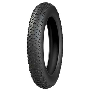 Fat Bike 20 400 Dış Lastik Anlaş