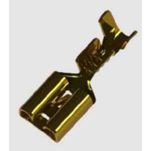 Sarı Fiş Geçmeli Dişi