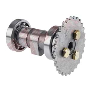 Ramzey - KRC 100 Eksantirik Mili Komple