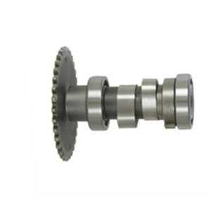 SCT 50 Eksantirik Mili Komple