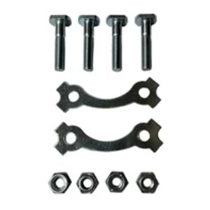 YBR+CG Arka Dişli Vidası