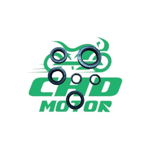 DİO 110 Keçe Takımı