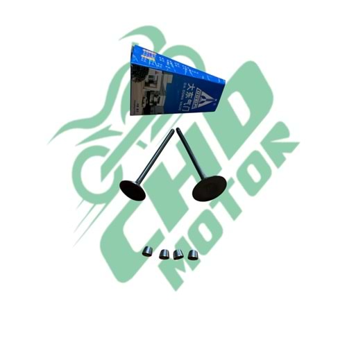 CG 100 Subap Emme + Eksoz DQ