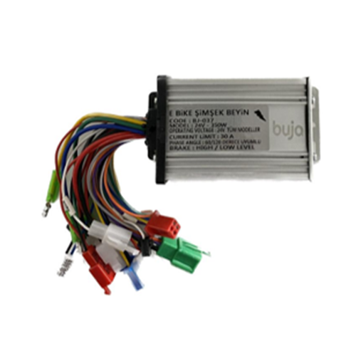 Beyin Şarzlı Petal Destekli 350W