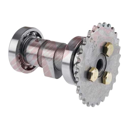 Ramzey - KRC 100 Eksantirik Mili Komple