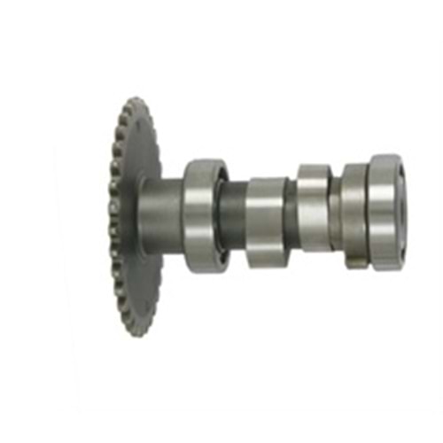 SCT 50 Eksantirik Mili Komple