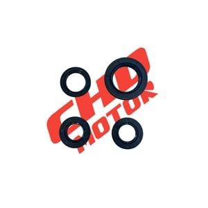 SCT 50 Keçe Takımı